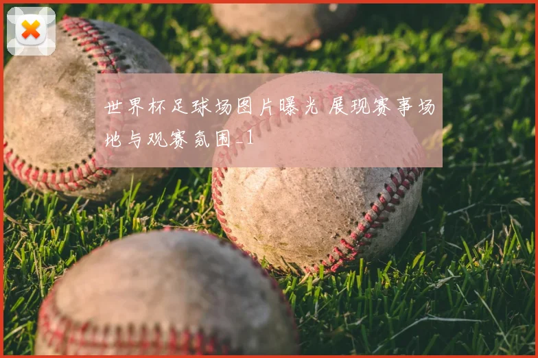 世界杯足球场图片曝光 展现赛事场地与观赛氛围_1