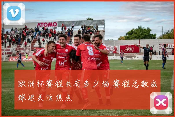 欧洲杯赛程共有多少场 赛程总数成球迷关注焦点