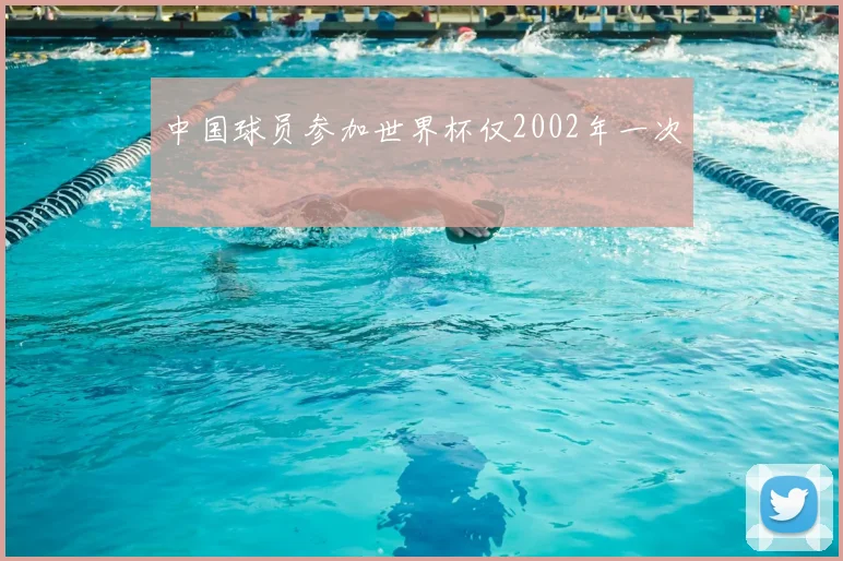 中国球员参加世界杯仅2002年一次
